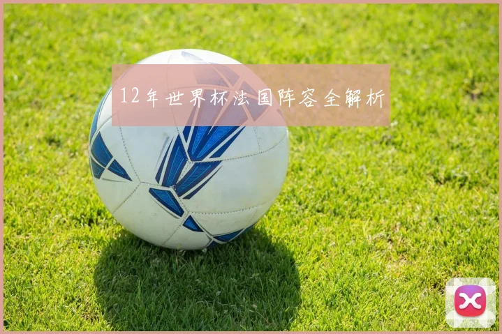 12年世界杯法国阵容全解析