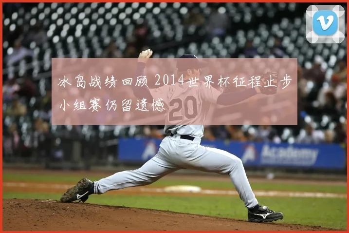 冰岛战绩回顾 2014世界杯征程止步小组赛仍留遗憾