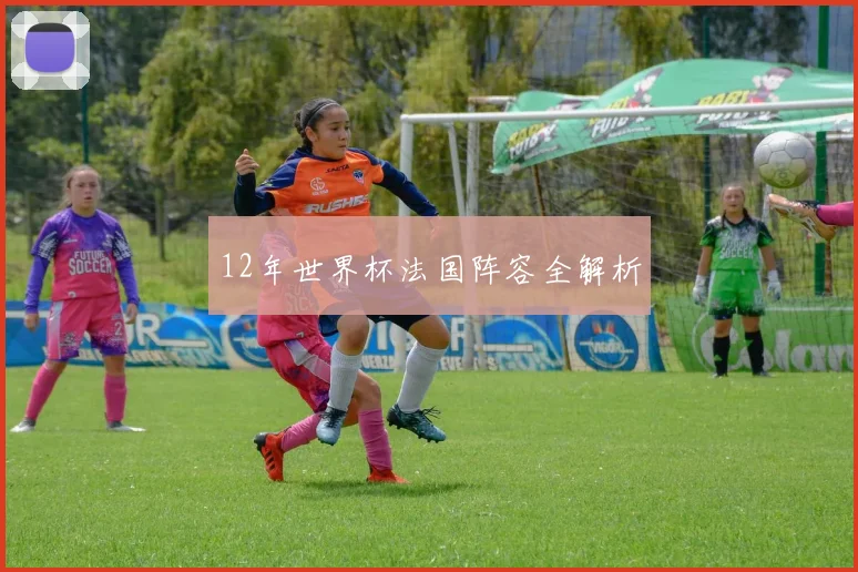 12年世界杯法国阵容全解析