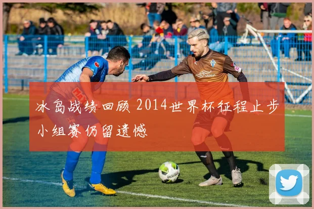 冰岛战绩回顾 2014世界杯征程止步小组赛仍留遗憾