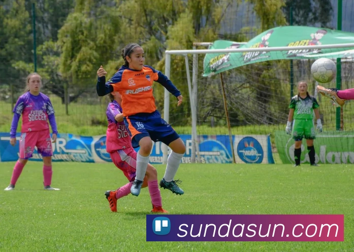 买球官方APP 高清赛事图